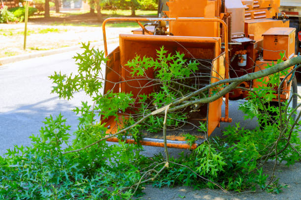 Best Tree Pruning Services  in Hockessin, DE